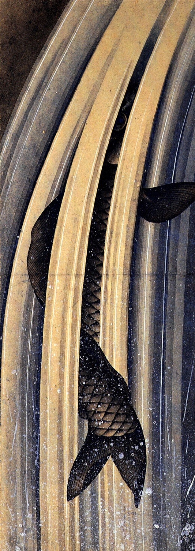 Carp Climbing a Waterfall