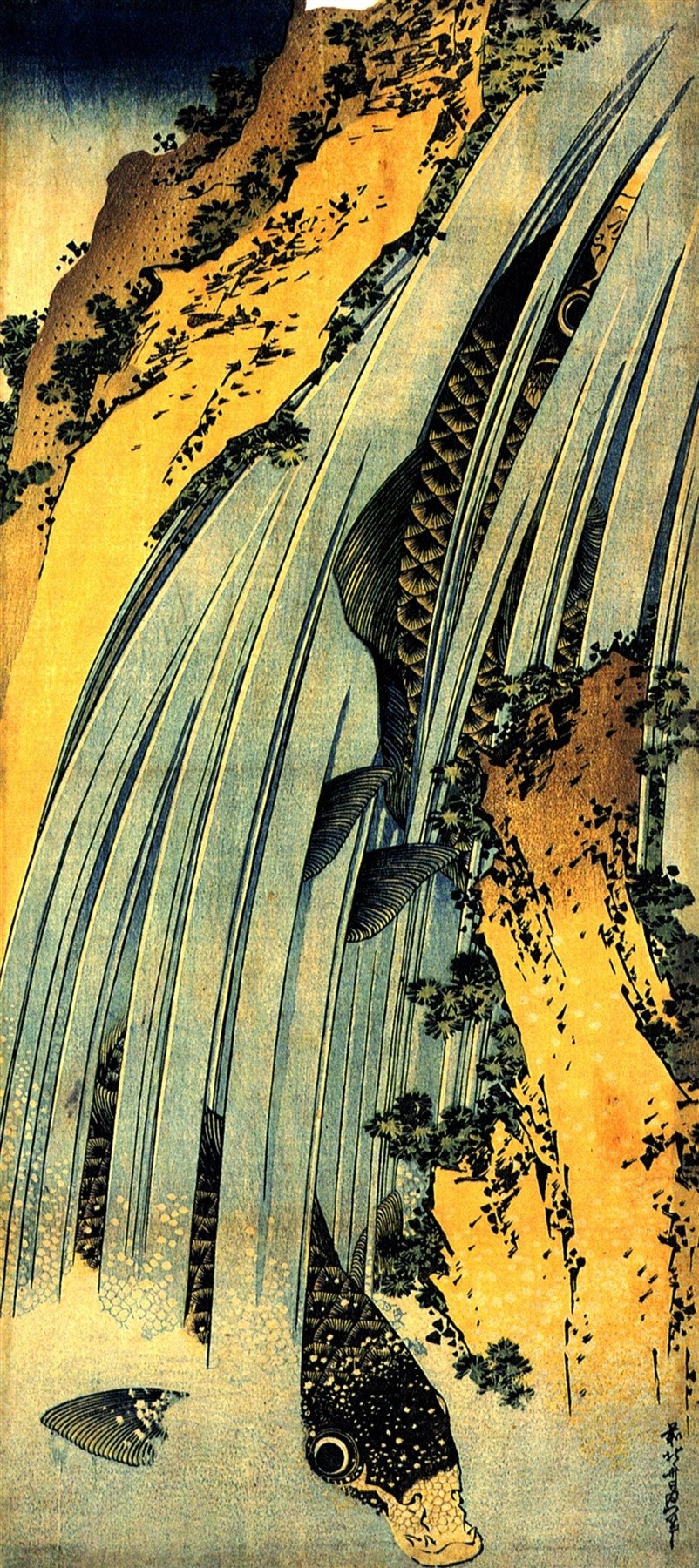 Carp Climbing a Waterfall