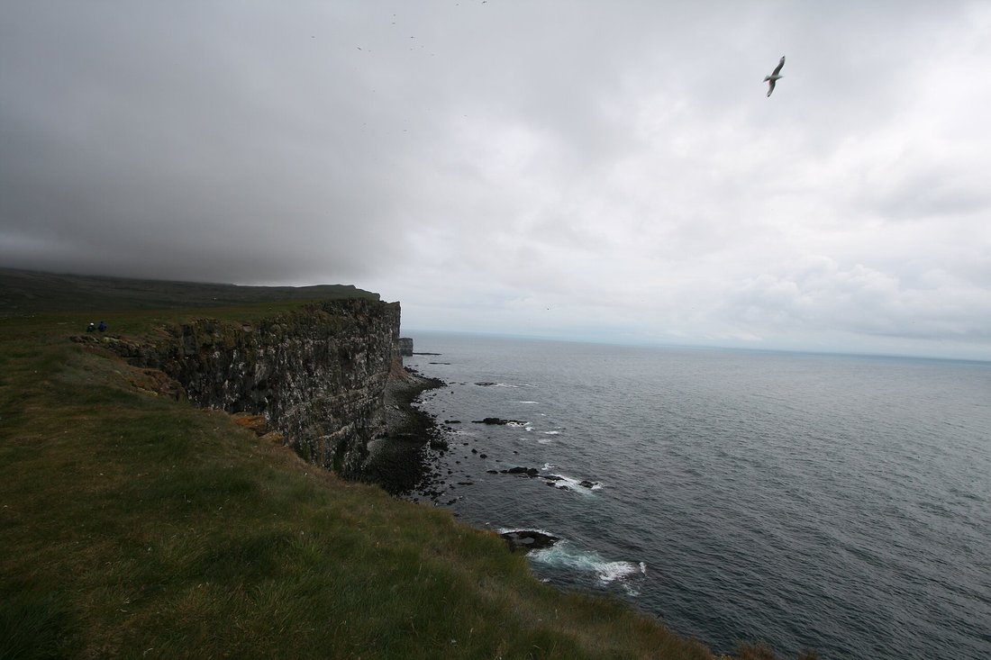 Látrabjarg