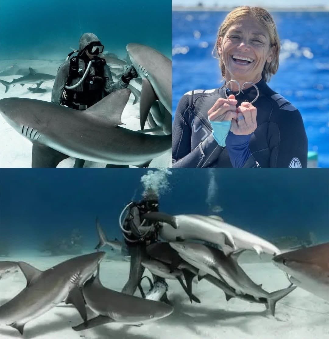CRISTINA ZENATO