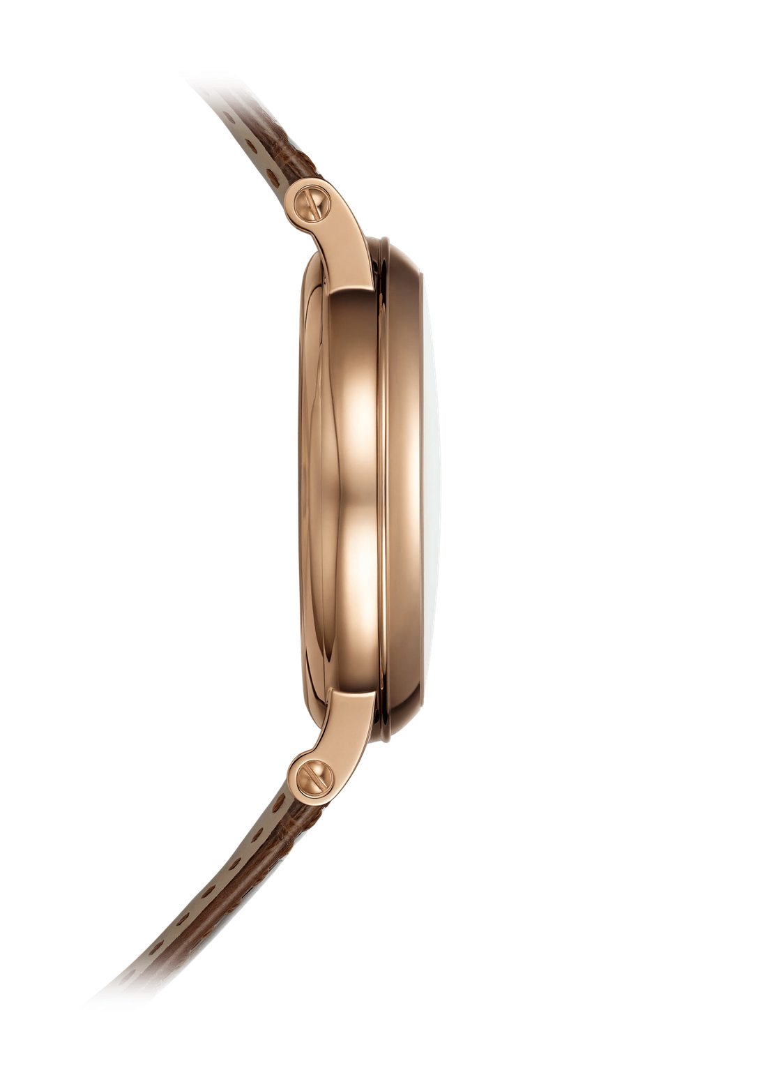 Patek Philippe Crow and Fox Case Profile