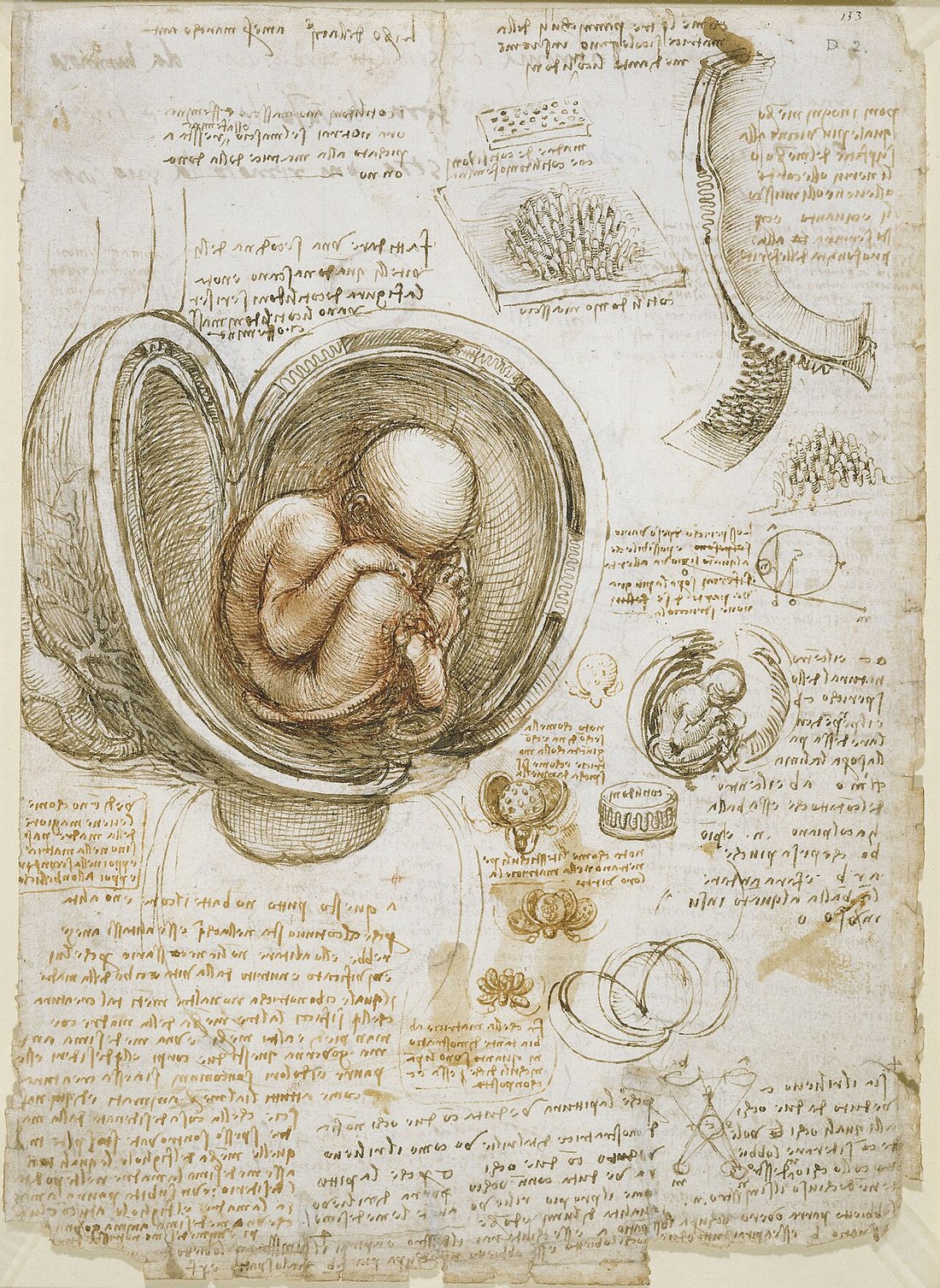 Leonardo da Vinci