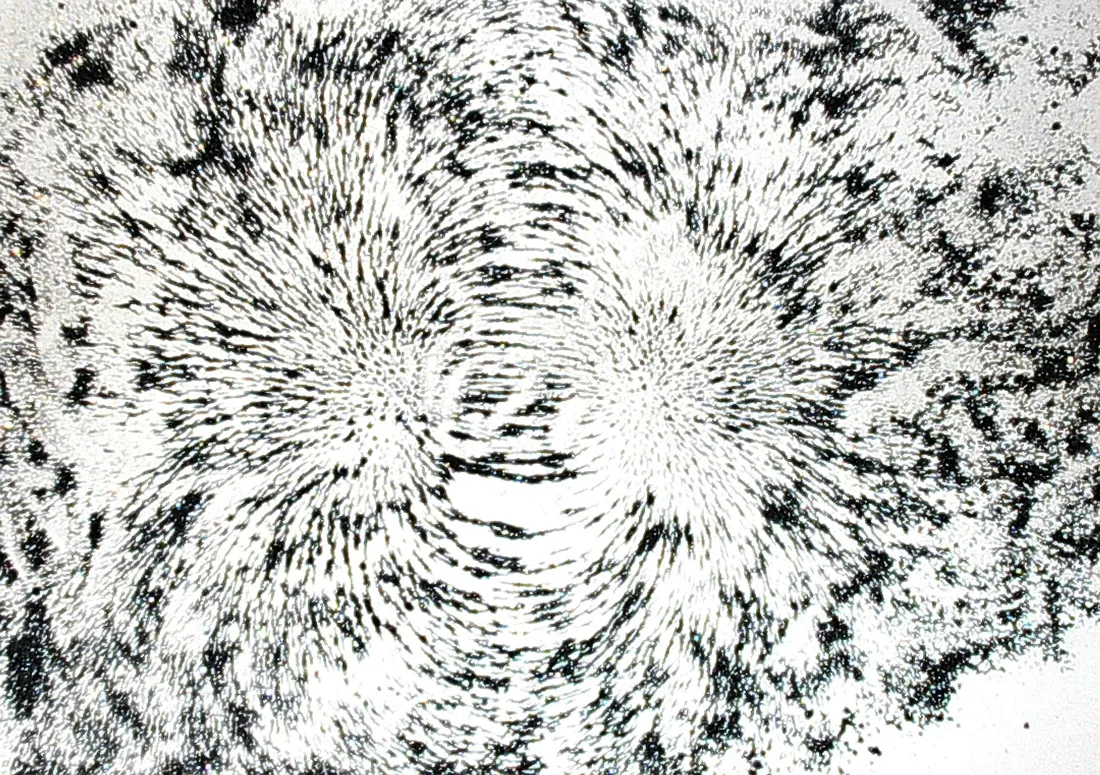 Iron filings