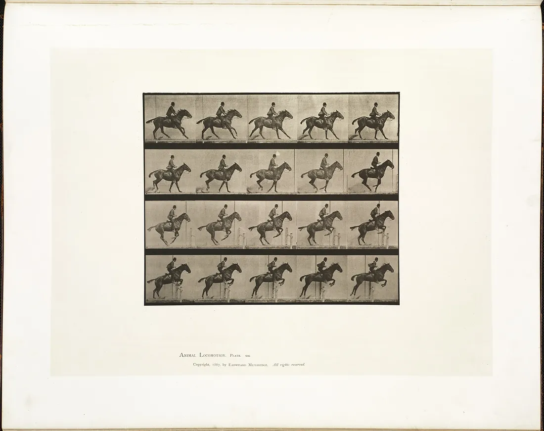 Muybridge Kareleri