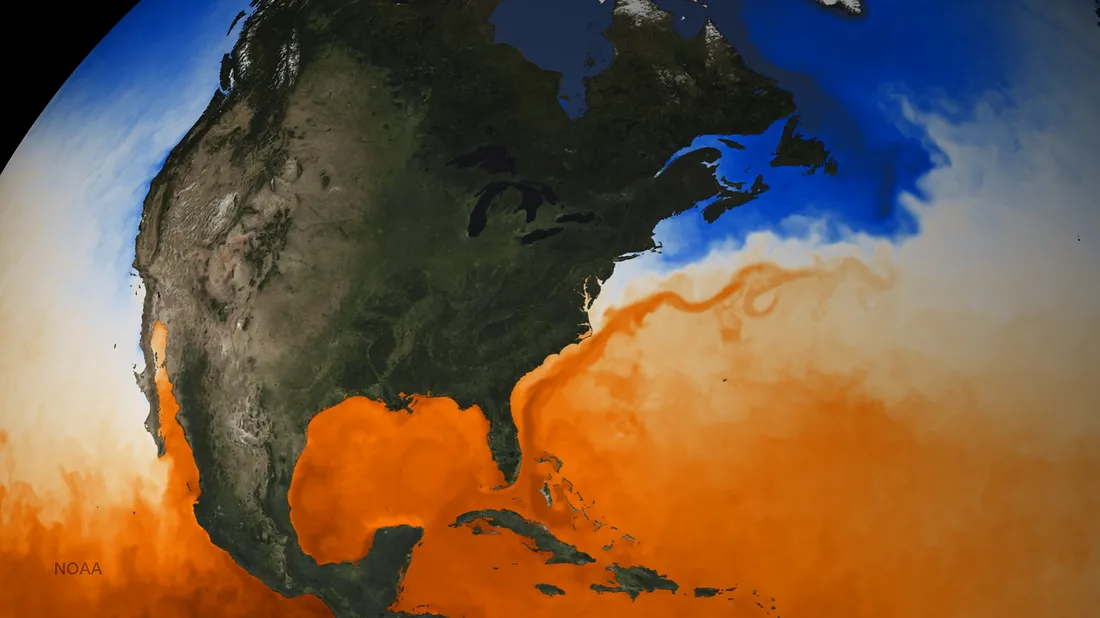 Gulf Stream