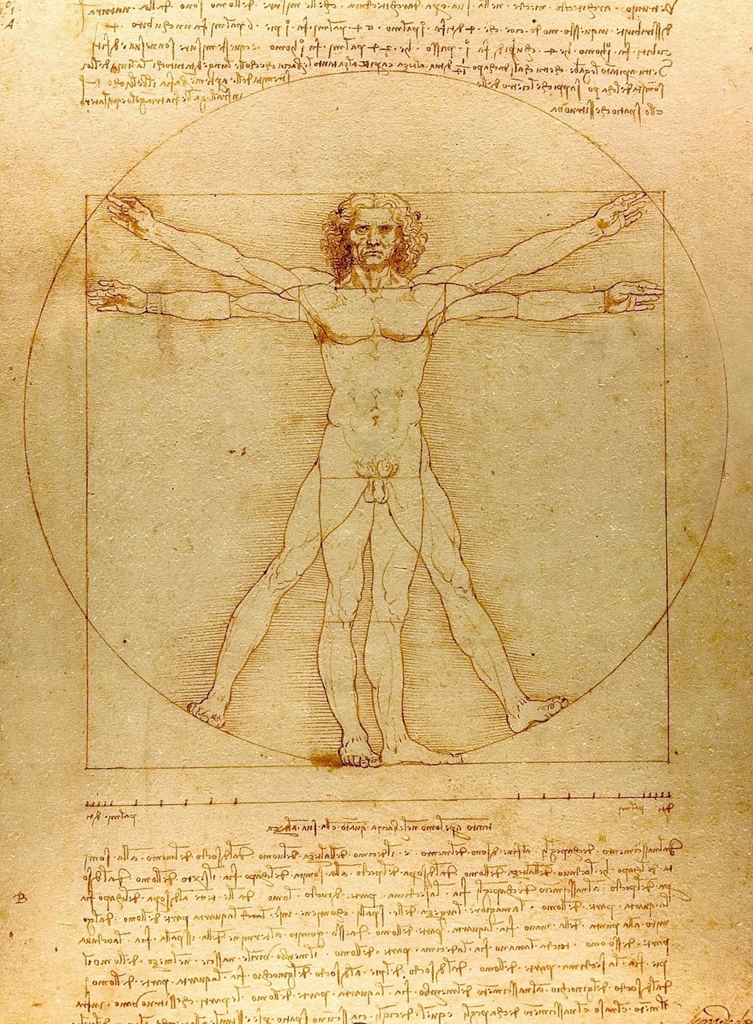 Leonardo da Vinci